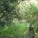 Bateleur Bushveld Camp - Kruger Park - 258066