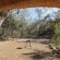 Bateleur Bushveld Camp - Kruger Park - 258075