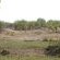 Bateleur Bushveld Camp - Kruger Park - 258076