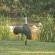 Hillton Manor Self-catering Accommodation - Natural landscape