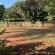 Cycasia Lodge - Garden