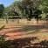 Cycasia Lodge - 258237