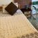 Cycasia Lodge - 258257