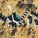 Keleo Safari Lodge - Property / Building