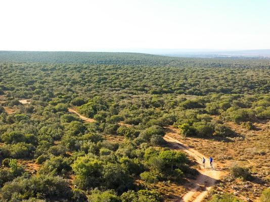 Kudu Ridge Game Lodge - 258877