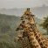 Kudu Ridge Game Lodge - 258884