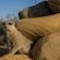 Kudu Ridge Game Lodge - 258890