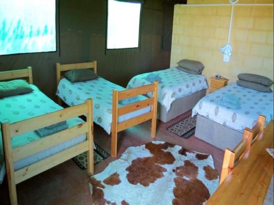 Kudu Ridge Game Lodge - 258903