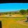 Keleo Safari Lodge - 258912