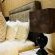 Keleo Safari Lodge - 258943