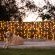 Summerplace Game Reserve - 258962