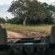 Summerplace Game Reserve - 258963
