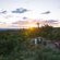 Summerplace Game Reserve - 258967