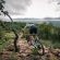 Summerplace Game Reserve - 258972