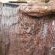 Elephants Footprint Lodge - 259090
