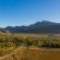 Mount Ceder Lodge - 259309