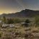 Mount Ceder Lodge - 259310
