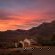 Mount Ceder Lodge - 259311