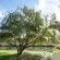 Mount Ceder Lodge - 259312