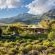 Mount Ceder Lodge - 259359