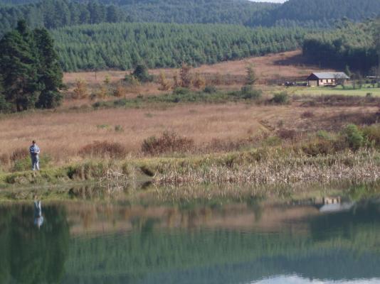 Gunyatoo Trout Farm & Guest Lodge - 259396