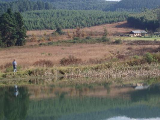 Gunyatoo Trout Farm & Guest Lodge - 259398