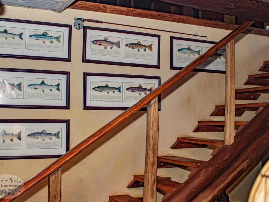 Gunyatoo Trout Farm & Guest Lodge - 259399