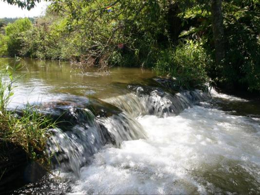 Gunyatoo Trout Farm & Guest Lodge - 259401