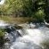 Gunyatoo Trout Farm & Guest Lodge - 259401