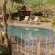 Gunyatoo Trout Farm & Guest Lodge - 259403
