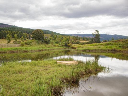 Gunyatoo Trout Farm & Guest Lodge - 259407