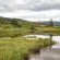 Gunyatoo Trout Farm & Guest Lodge - 259407