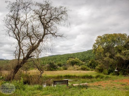 Gunyatoo Trout Farm & Guest Lodge - 259411