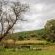 Gunyatoo Trout Farm & Guest Lodge - 259411