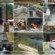 Gunyatoo Trout Farm & Guest Lodge - 259426