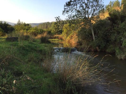 Gunyatoo Trout Farm & Guest Lodge - 259428