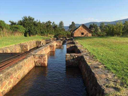 Gunyatoo Trout Farm & Guest Lodge - 259430