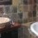 Gunyatoo Trout Farm & Guest Lodge - 259437