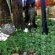 Sunshine Selfcatering - 259540