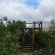 Izintaba Private Game Reserve - 259659