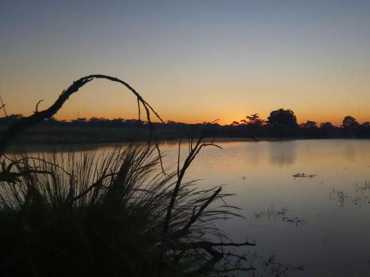 Izintaba Private Game Reserve - 259660