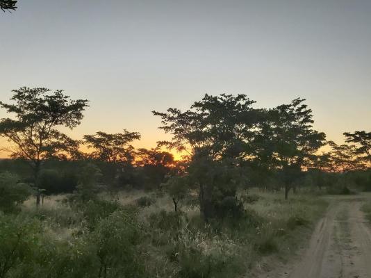 Izintaba Private Game Reserve - 259661