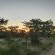 Izintaba Private Game Reserve - 259661
