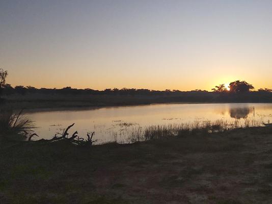 Izintaba Private Game Reserve - 259662