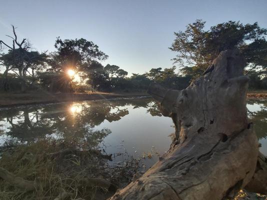 Izintaba Private Game Reserve - 259663