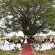 Izintaba Private Game Reserve - 259664