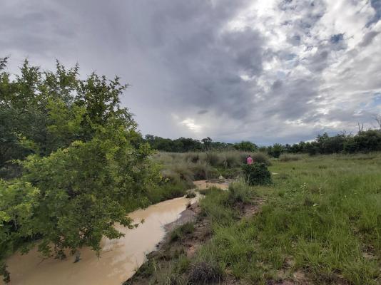Izintaba Private Game Reserve - 259667