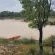 Izintaba Private Game Reserve - 259669