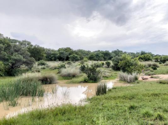 Izintaba Private Game Reserve - 259670