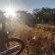 Izintaba Private Game Reserve - 259671
